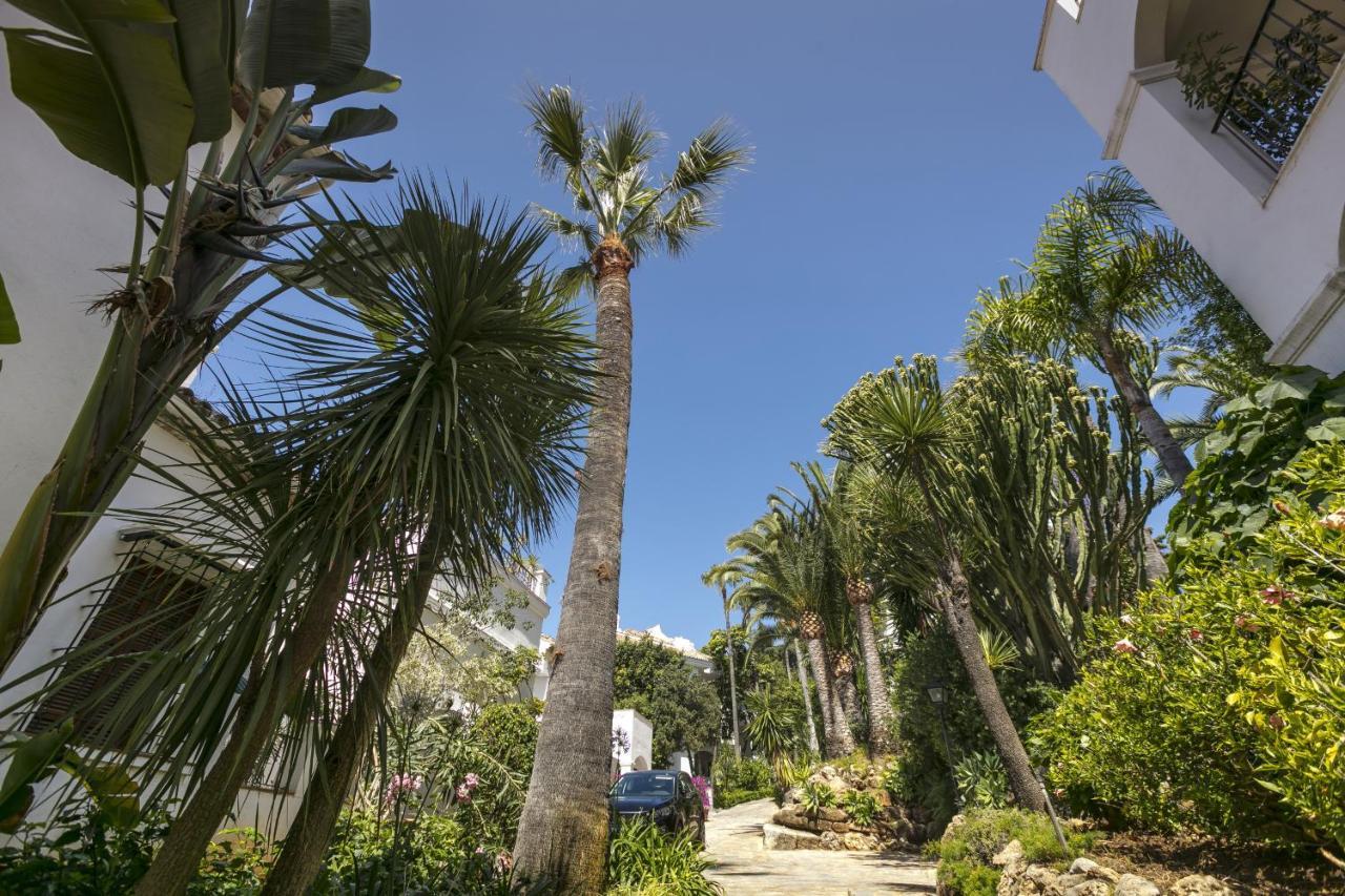 Apartamento Señorio De Ph